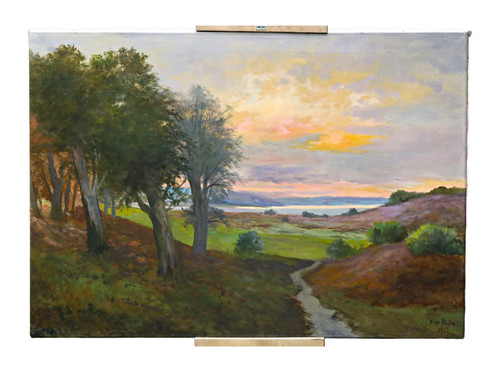 Quadro olio firmato hugo - firmato,
