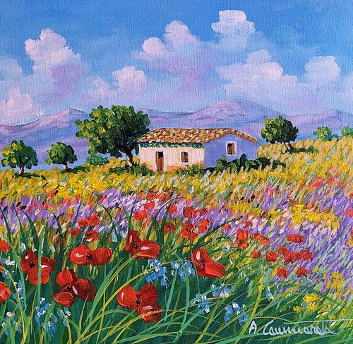 Compralo subito 30x30 - ,