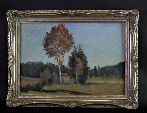 Bellissimo dipinto olio - ad,