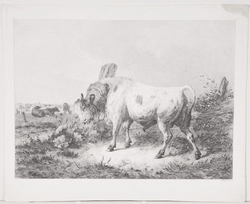 Friedrich johann - friedrich,