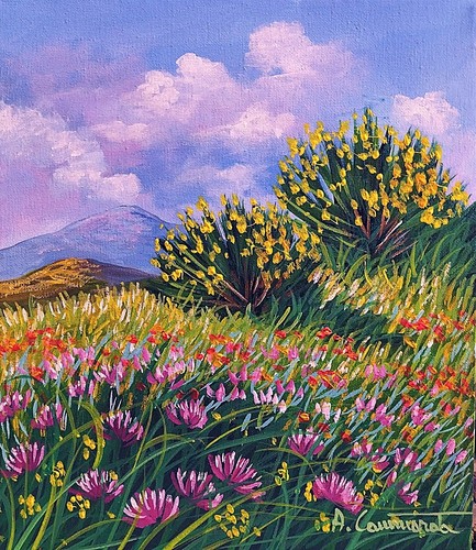 Compralo subito 30x35 quadro - subito,