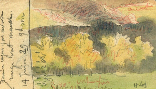 Paesaggio francese cespuglio - paesaggio,